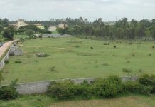 राज्याने भाडेपट्ट्यावरील जमिनीच्या नोंदी दुरुस्त करण्यासाठी मोहीम सुरू केली आहे, संग्राहकांनी तीन महिन्यांत नोंदी दुरुस्त कराव्यात. पुणे बातम्या