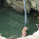 कोपरगावत विहिरीत पडलेल्या बिबट्याची सुखरूप सुटका; जेऊर कुंभारीत नागरिकांची मोठी गर्दी