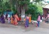 वटसावित्री पौर्णिमेनिमित्त मोहनीराज नगरात वटवृक्षाची श्रद्धाभावाने पूजा