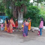 वटसावित्री पौर्णिमेनिमित्त मोहनीराज नगरात वटवृक्षाची श्रद्धाभावाने पूजा