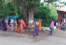 वटसावित्री पौर्णिमेनिमित्त मोहनीराज नगरात वटवृक्षाची श्रद्धाभावाने पूजा