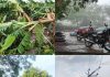 शनिवारी सायंकाळी झालेल्या जोरदार वार्यासह पावसामुळे