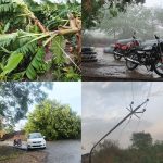 शनिवारी सायंकाळी झालेल्या जोरदार वार्यासह पावसामुळे