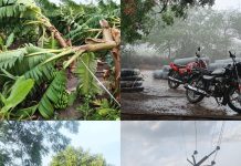 शनिवारी सायंकाळी झालेल्या जोरदार वार्यासह पावसामुळे