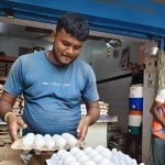 पुरवठा कमी झाल्याने अंड्याच्या किमतीत वाढ होते, पोल्ट्री फीडची किंमत वाढते. पुणे बातम्या