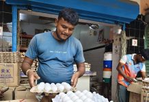 पुरवठा कमी झाल्याने अंड्याच्या किमतीत वाढ होते, पोल्ट्री फीडची किंमत वाढते. पुणे बातम्या